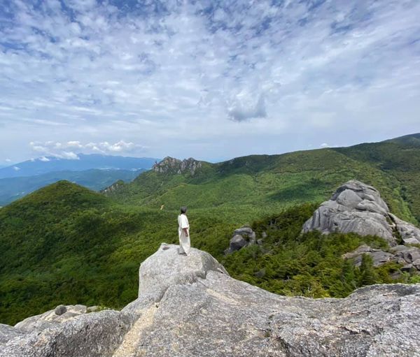 マテリアメディカ上下　森井啓ニ マテリアメディカ 上・下セット