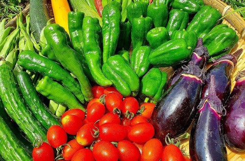 夏野菜セット